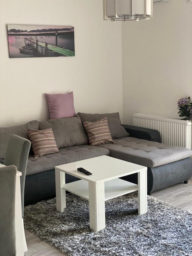 Apartmani Milic Banja Koviljaca Exterior photo